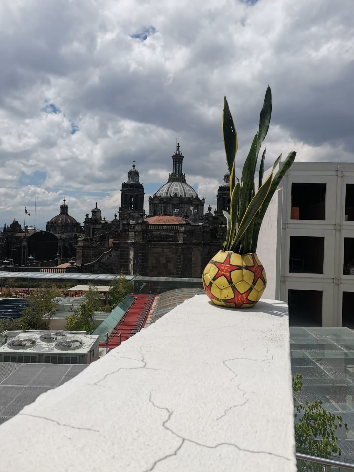 Exposición juego de pelota