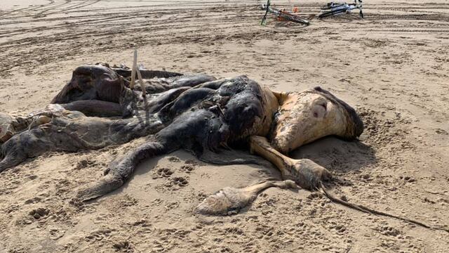 Ainsdale, Inglaterra