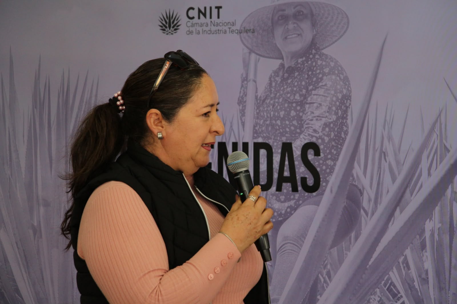 Mujeres agaveras