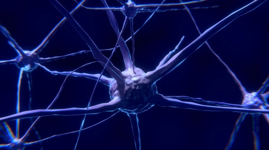 Conexiones neuronales