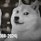 ¿Quién fue Kabosu? Doge, la perrita de los memes que inspiró una criptomoneda murió a los 17 años de edad