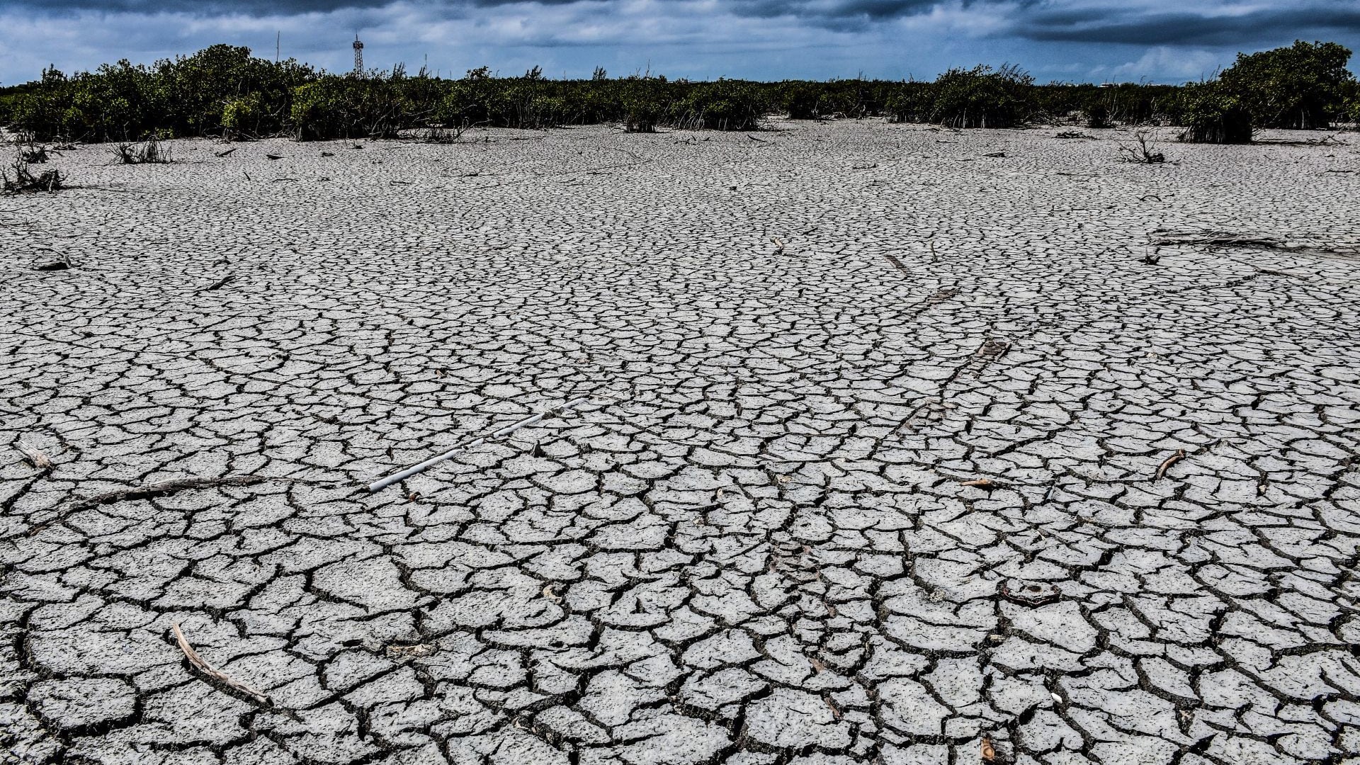 Todos muertos de sed