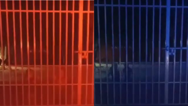 VIDEO: Policías captan niños fantasmas para TikTok