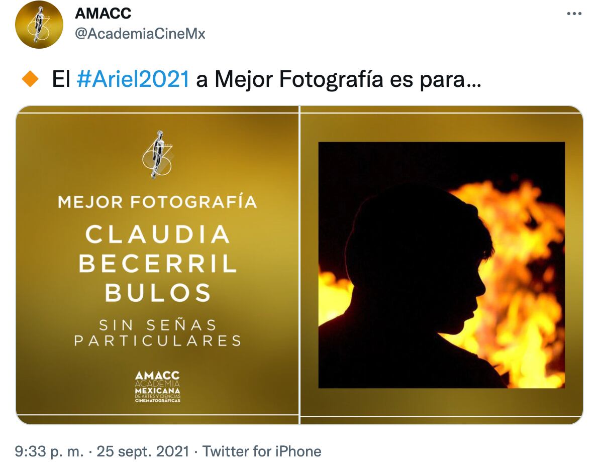Sin señas particulares, Premios Ariel 2021