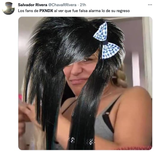 Regreso de PXNDX memes