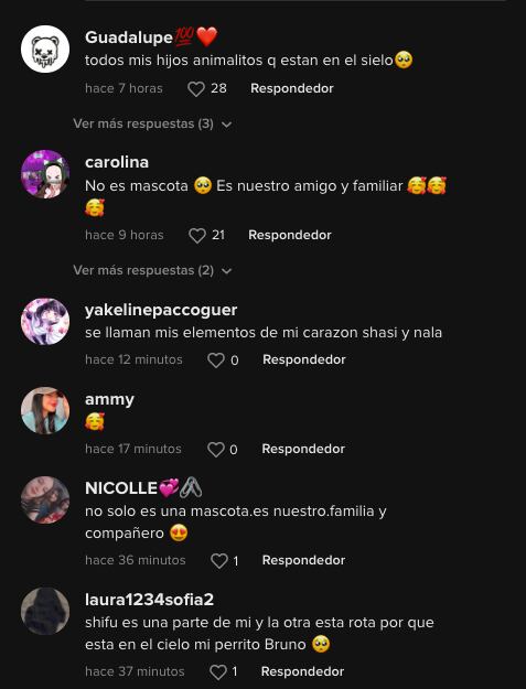TikTok enternece con gatitos y perritos con fondo de Acróstico de Shakira