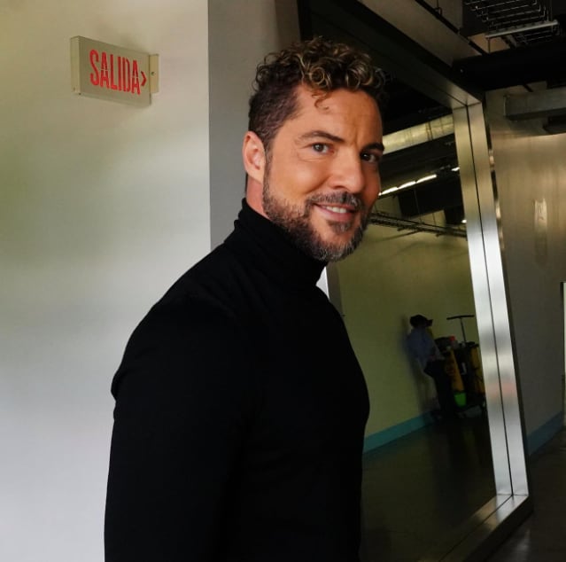 David Bisbal