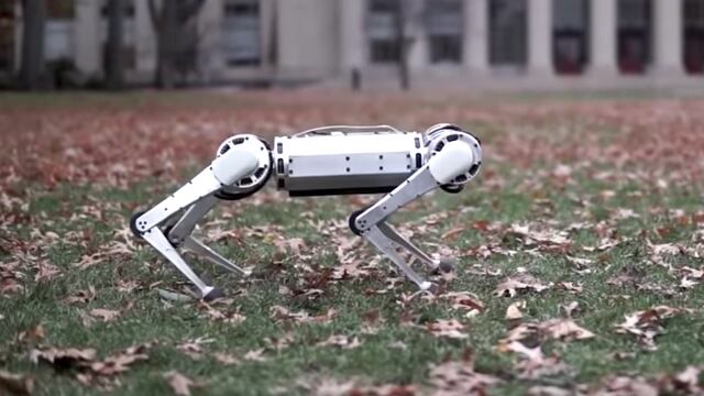 ‘Mini Cheetah’, el nuevo robot cuadrúpedo del Instituto de Tecnología de Massachusetts.