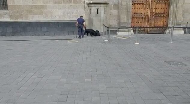Inspección de mochila con supuesta bomba