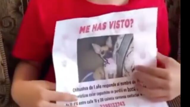 Niño busca a su perrito