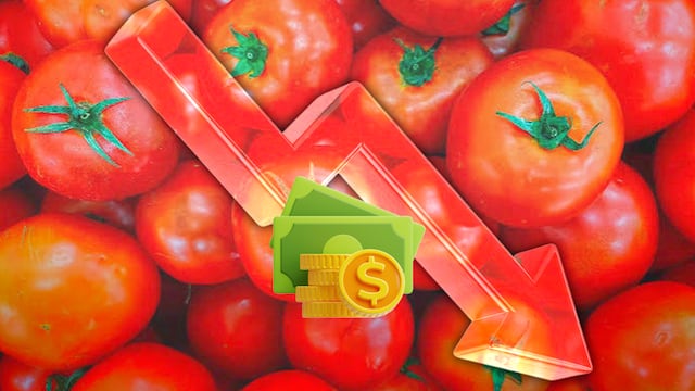 Hacienda prevé mejora económica si baja el precio del jitomate