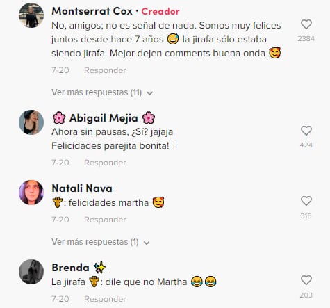 Reacciones a la jirafa que interrumpe propuesta de matrimonio