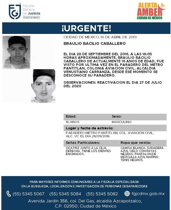 Ficha de búsqueda de Braulio