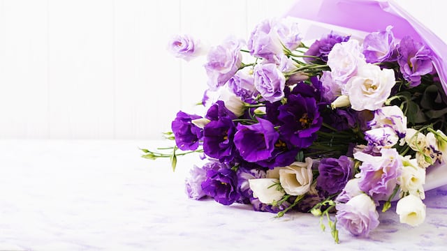 Flores moradas del 9 de octubre