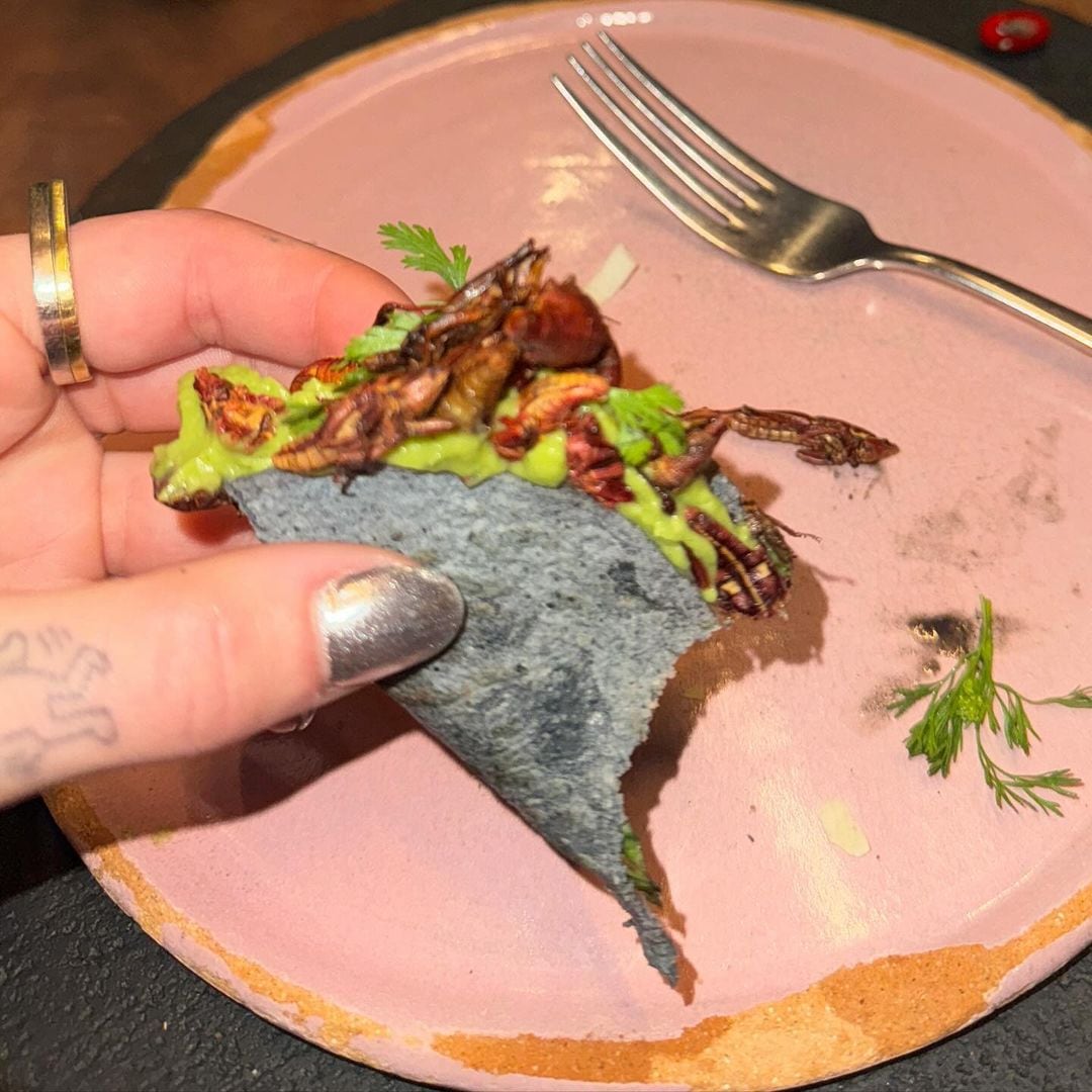 Dua Lipa disfrutó de la gastronomía mexicana