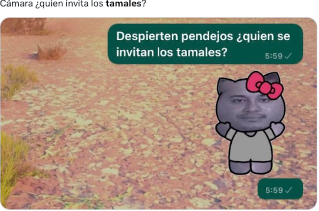 Los mejores memes de tamales chistosos para celebrar a gusto el Día de ...