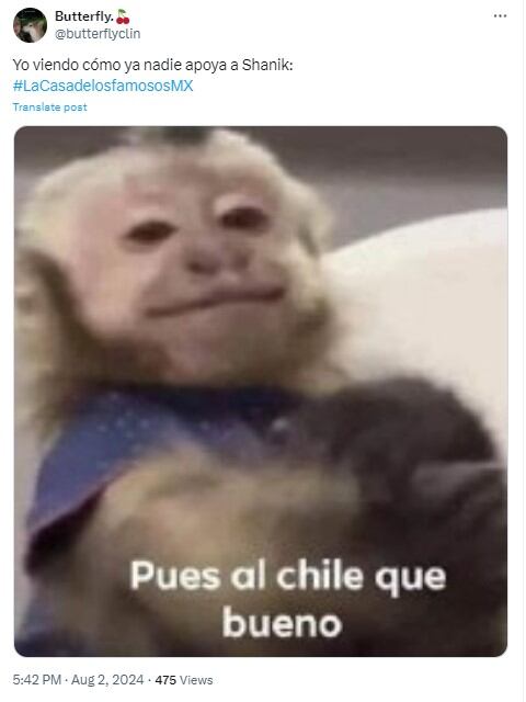 Memes exigiendo la salida de Shanik Berman de La Casa de los Famosos México 2024 por traidora