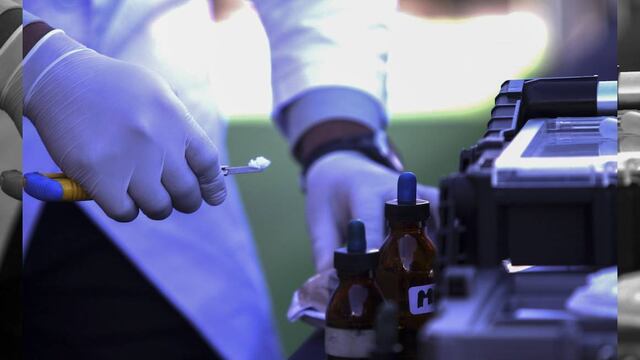 Con ayuda de perros entrenados, elementos de la Policía Federal dieron con la droga, que se encontraba en las instalaciones de una empresa de paquetería.