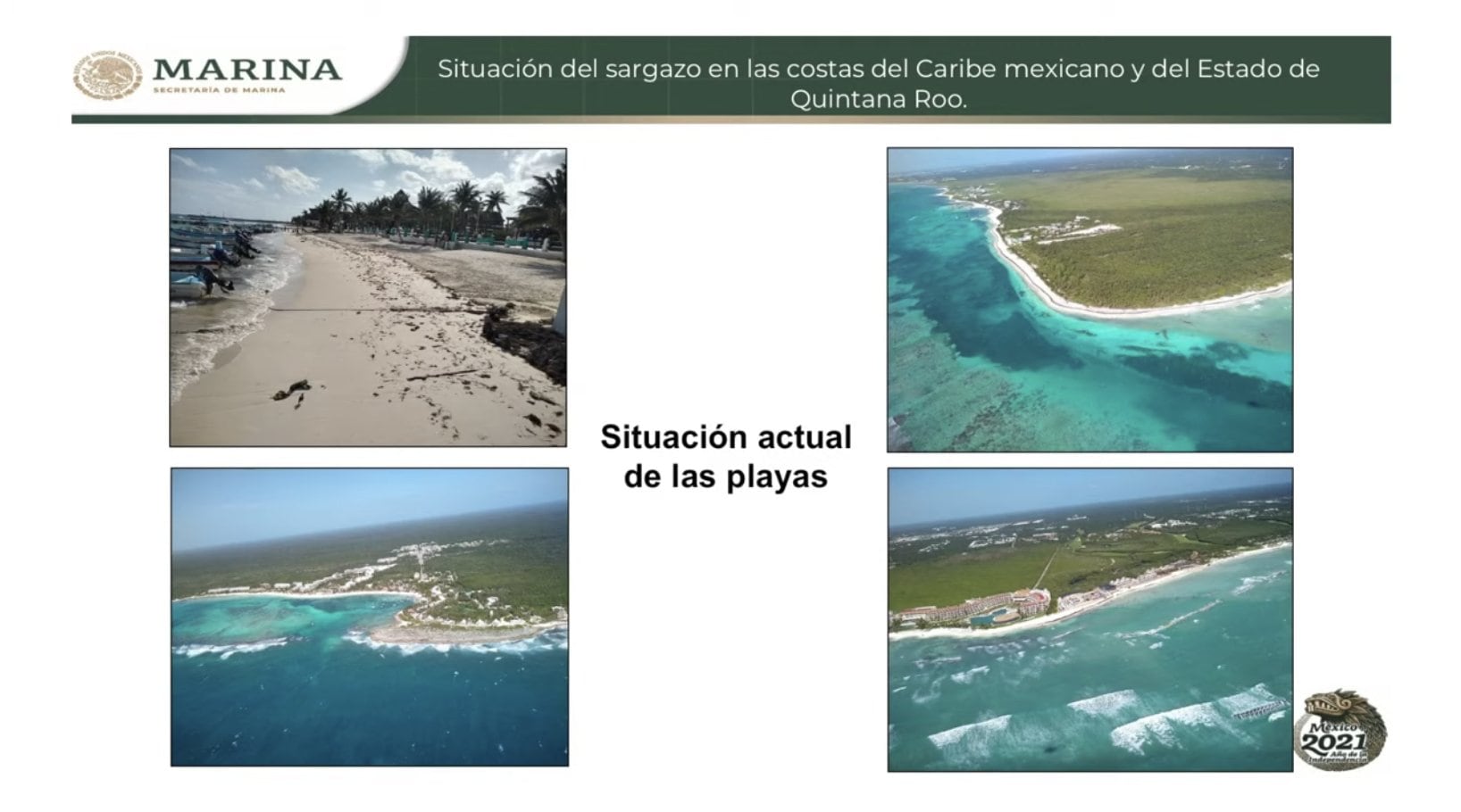 Limpieza de sargazo en Cancún