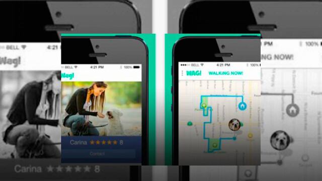 Conoce Wag!, el "Uber" de los perros