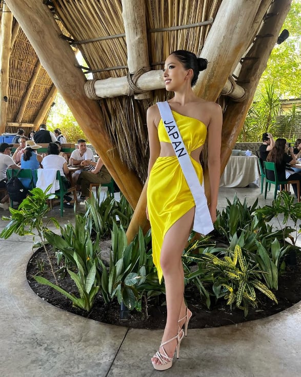 Rio Miyazaki, Miss Universo Japón