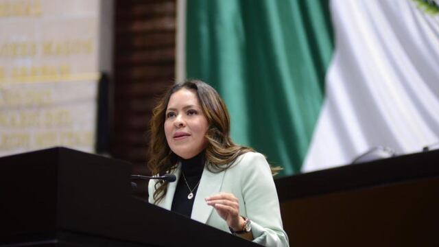 Karen Castrejón Trujillo, dirigente del Partido Verde