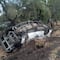 Accidente en Autopista México-Querétaro deja 10 muertos: camioneta choca contra un árbol en Polotitlán