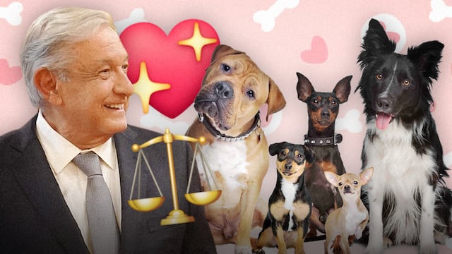 AMLO maltrato animal