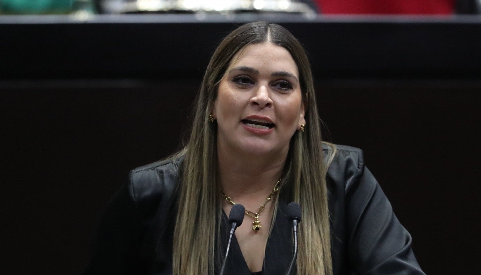 Ana Gonzalez, diputada federal del PRI