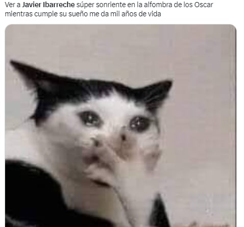 Meme de Javier Ibarreche en los Premios Oscar 2023.