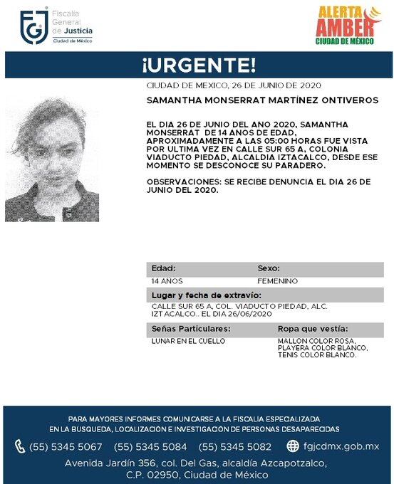 Ficha de búsqueda de Samantha.