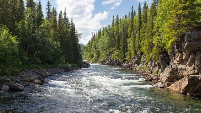 Río