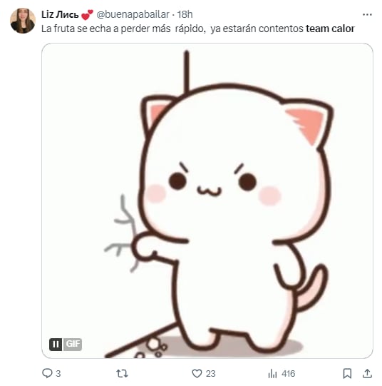 Memes por las altas temperaturas