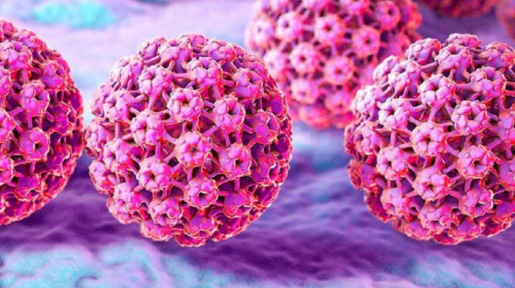 Virus del Papiloma Humano
