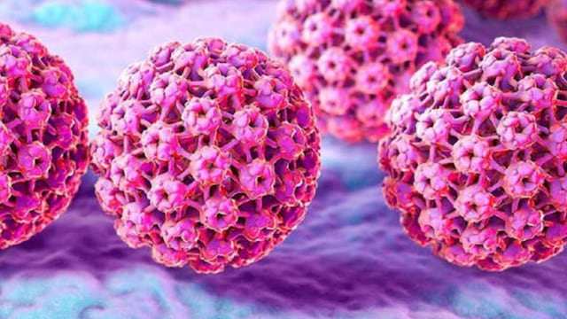 Virus del Papiloma Humano