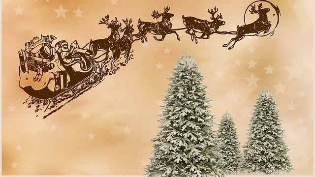 Renos de Santa Claus