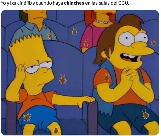 Plaga de chinches de la UNAM en CDMX desata los memes ansiosos de usuarios