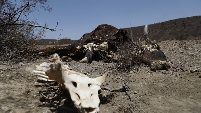 89.58% del territorio se encuentra afectado por la sequía en México