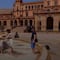 Europa bajo fuego: una intensa ola de calor golpea a estos países