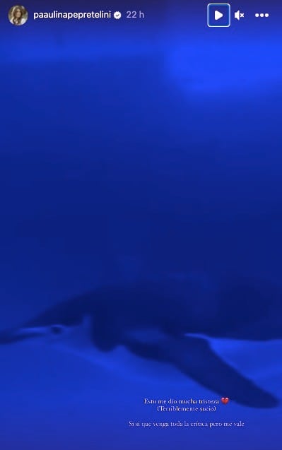 Instagram Storie de Paulina Peña en el Acuario Inbursa