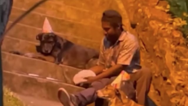 Hombre sin hogar festeja cumpleaños de sus perritos