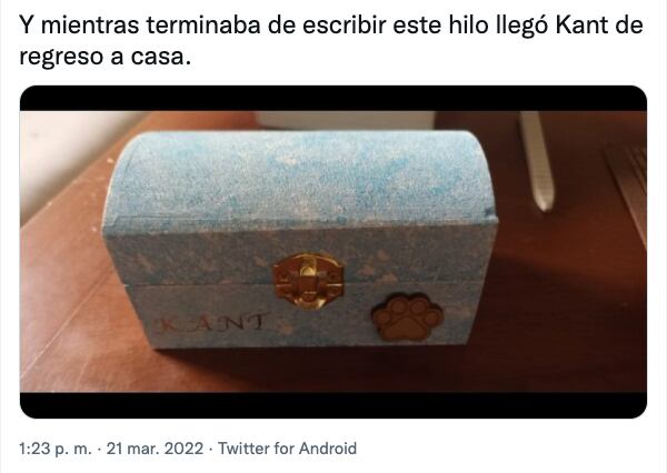 Cofre con las cenizas del gatito