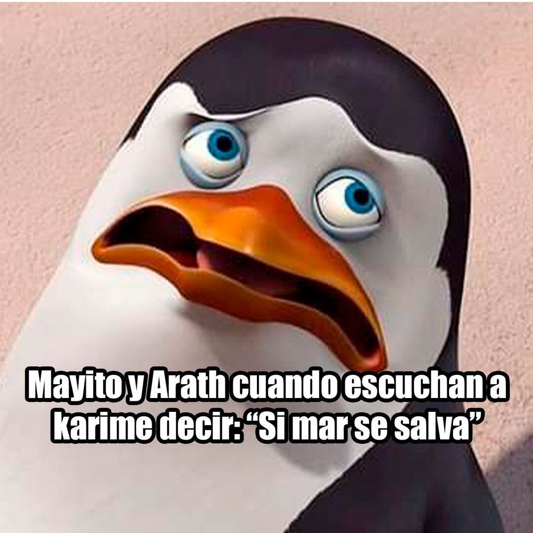 Karime Pindter inspira memes de "si mar se salva" en La Casa de los Famosos México 2024