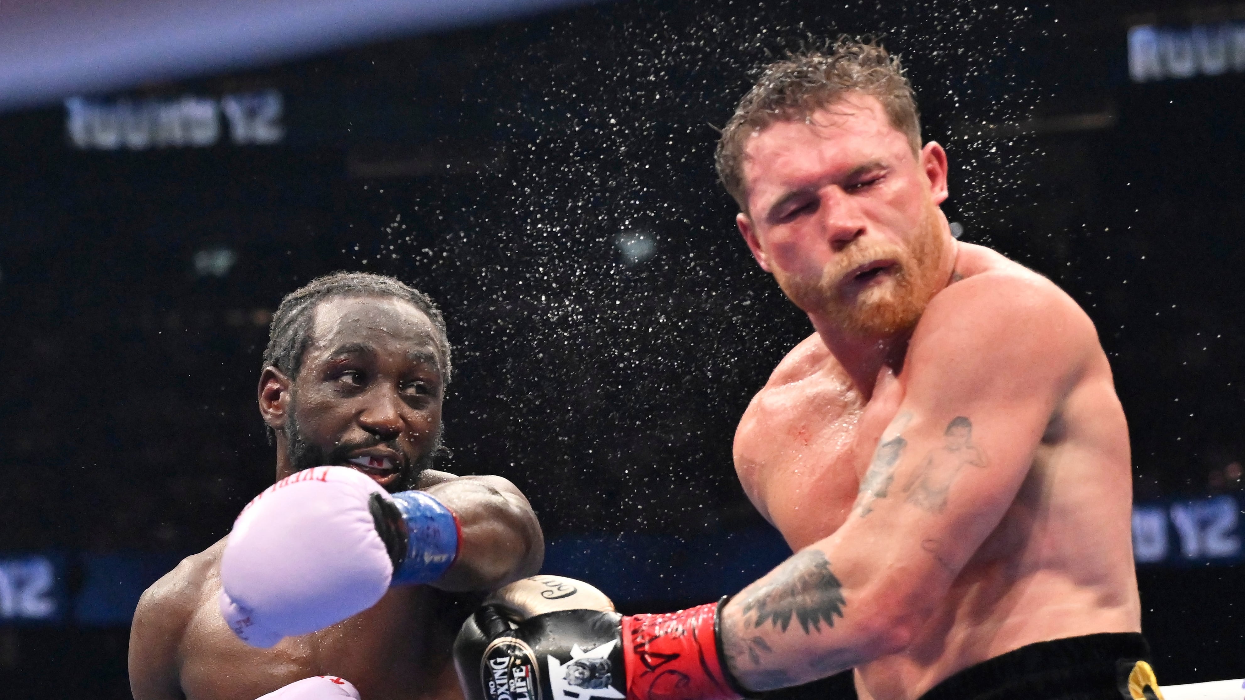 Floyd Mayweather sabe cosas: Apostó contra Canelo Álvarez y ganó una millonada