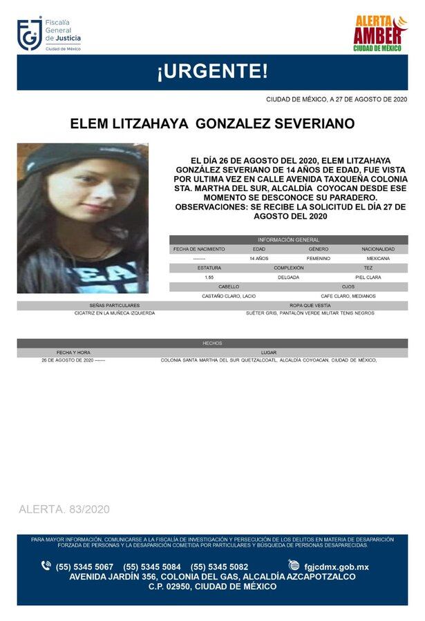 Ficha de búsqueda de Elem