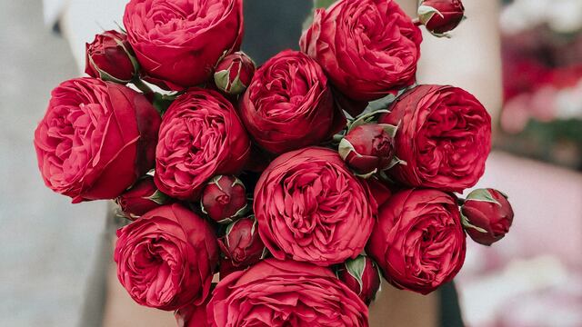 Dónde comprar flores en CDMX para regalar este 29 de febrero