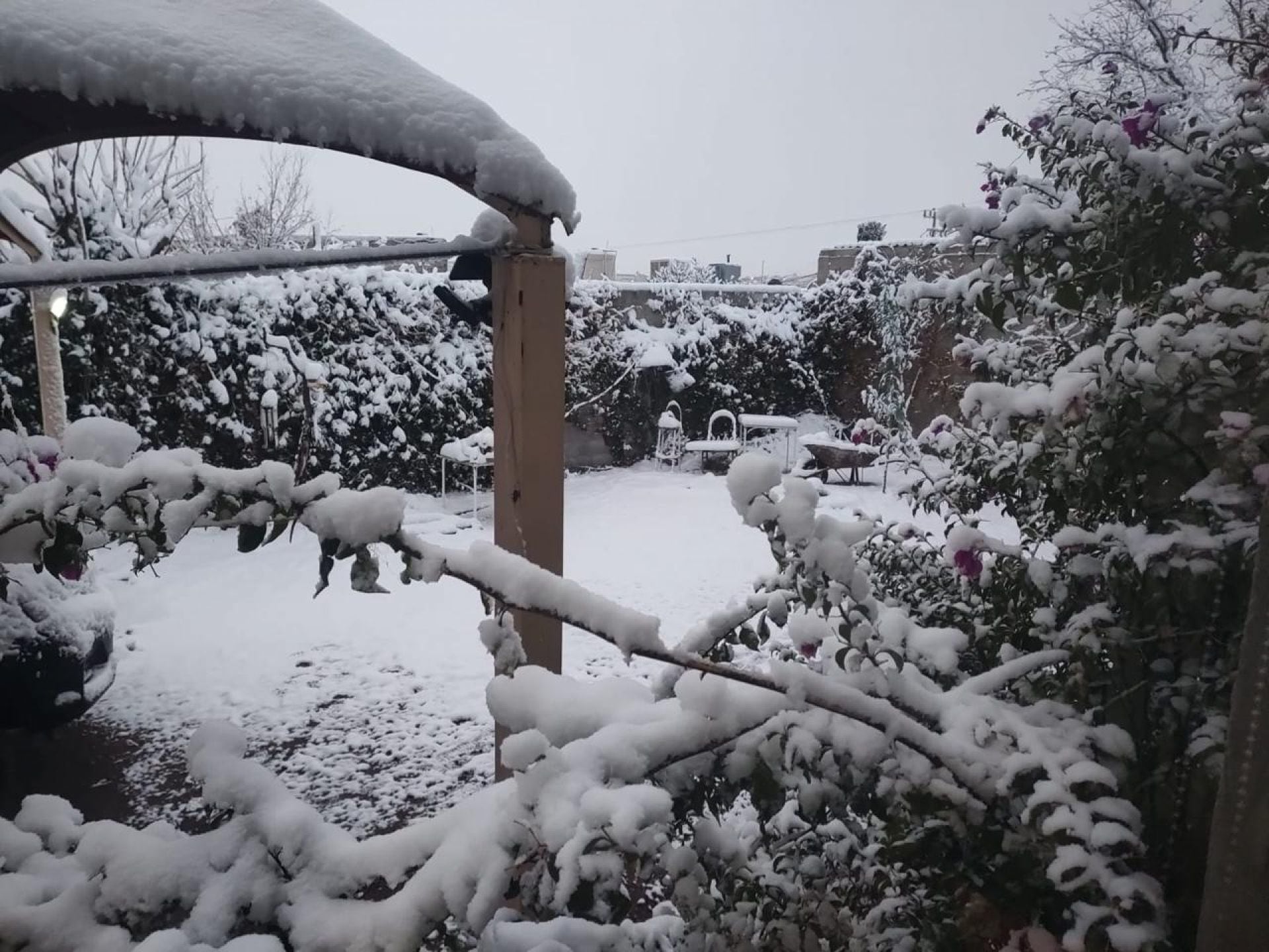 16 grados bajo cero en el congelador de México
