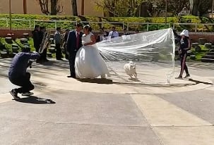 Perro se cola en la foto de una boda y el momento arruinado quedó registrado para TikTok