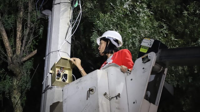 Lía limón rehabilita luminarias que beneficiaran al 86% de la población en Álvaro Obregón/Lía limón