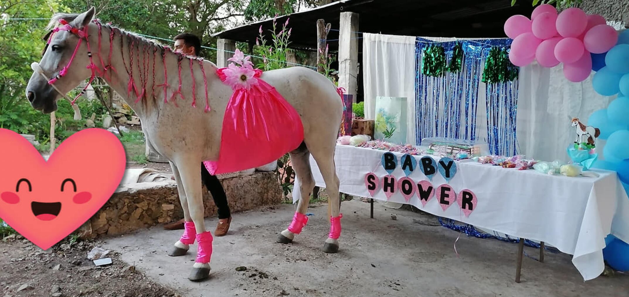 La yegua en su 'baby shower'